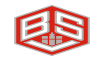 bsv logo
